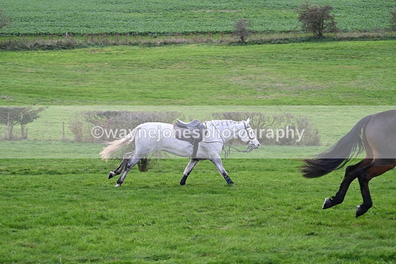 WJ7_9961 - Camera A