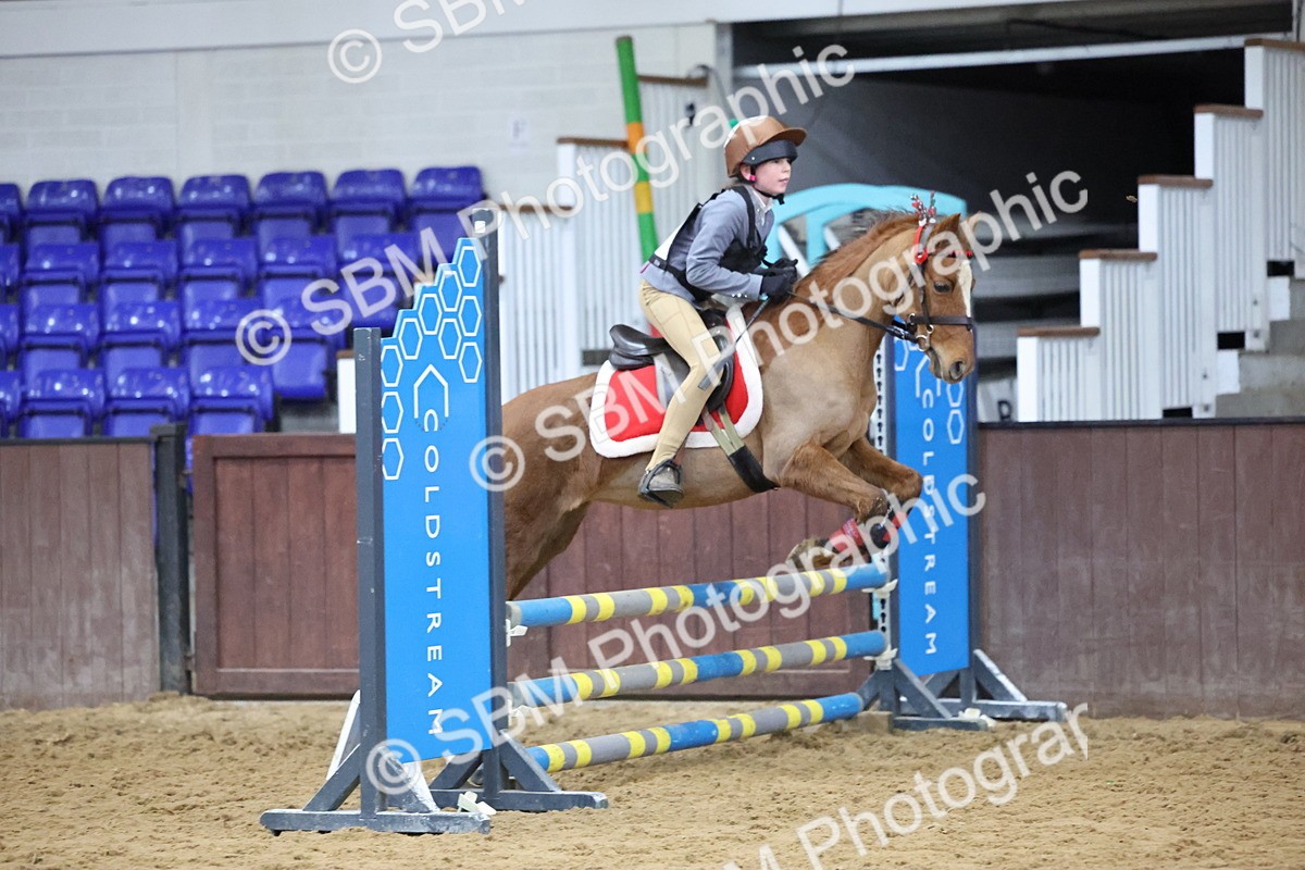 SBM_001104 - Class 3 - Christmas Tree Stakes - 60cm