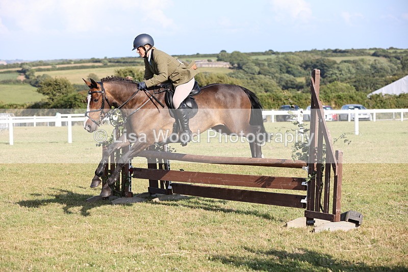 JPP_3153 - Class 21: Working Hunter 80cm