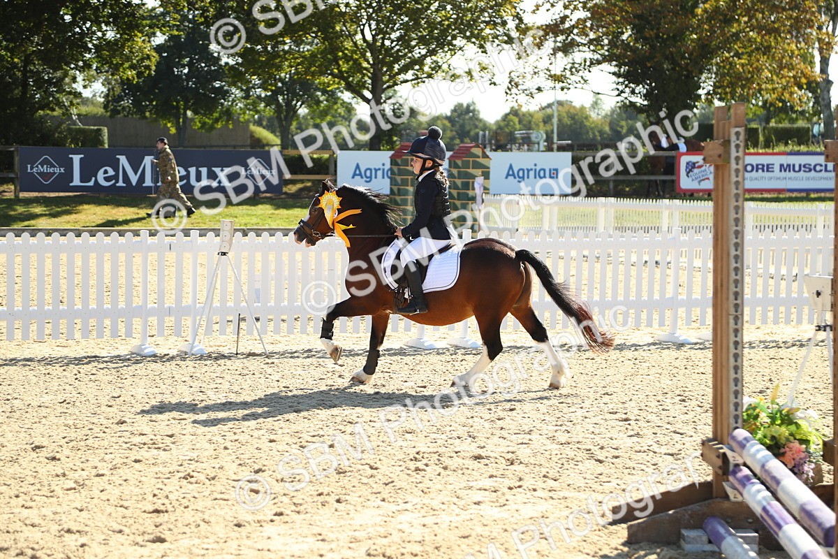 SBM_36084 - J5 - Junior Pony 50cm Championship