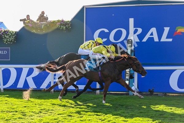 111025-Race 5-Morshdi-8926 - Race 5 Coral 'We're Here For It' EBF Maiden Stakes at York