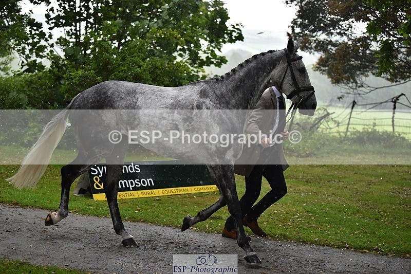 240522-153006-00387 - 361-FENIZIO-Max_Warburton