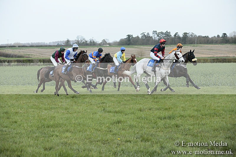 PtP 230319 86 - VWH Hunt Siddington Point-to-Point Racing 23/03/19