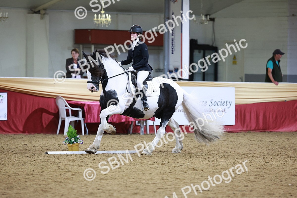 SBM_09965 - Class 61 - Dressage to Music