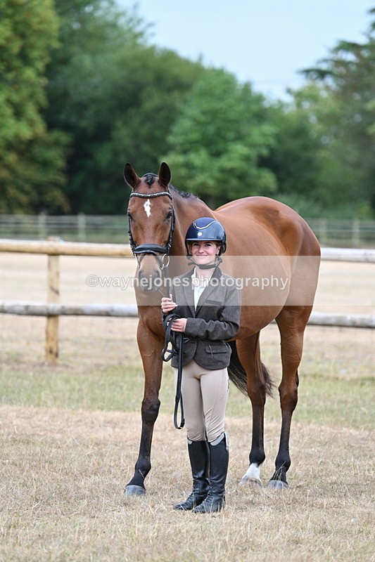WJ7_9926 - Class 5a Most Handsome Gelding (above 14.2hh)