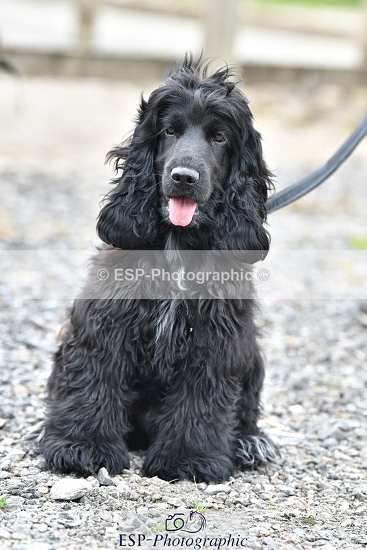 230817-124628-02815 - Stable Shots