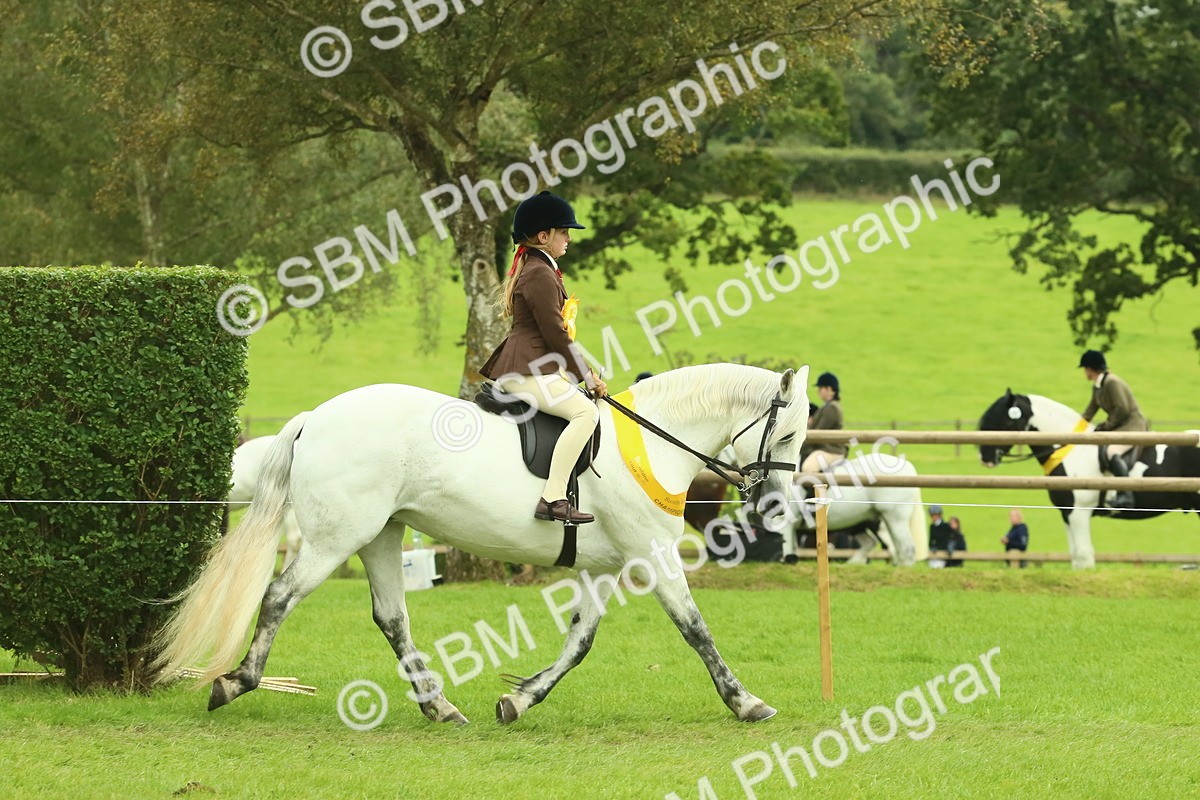 SBM_74975 - Ridden Pony Supreme Championship