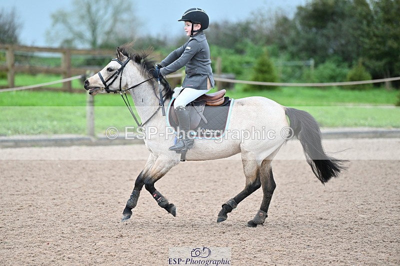 231029A-090507-02276 - 50cm Clear Round