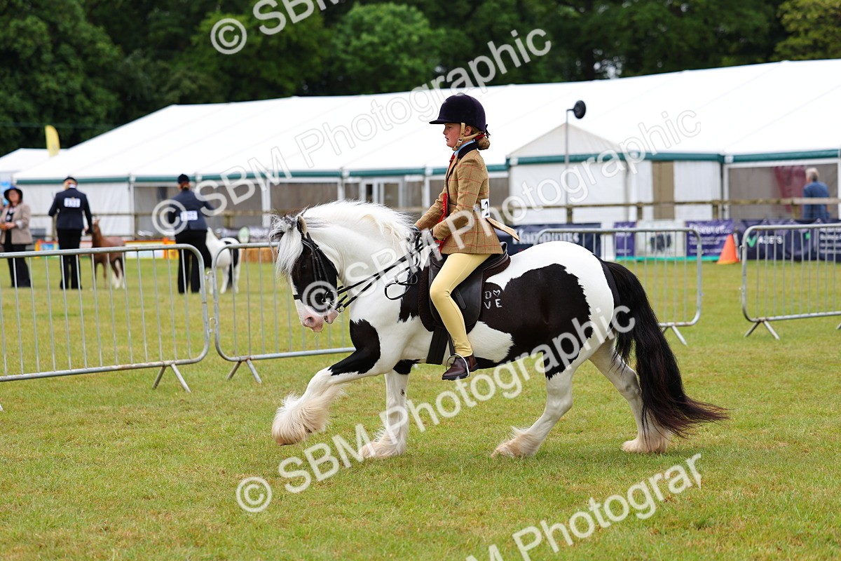 SBM_02635 - Class 9-11 Side Saddle including LIHS Rising Star Ladies Show Horse