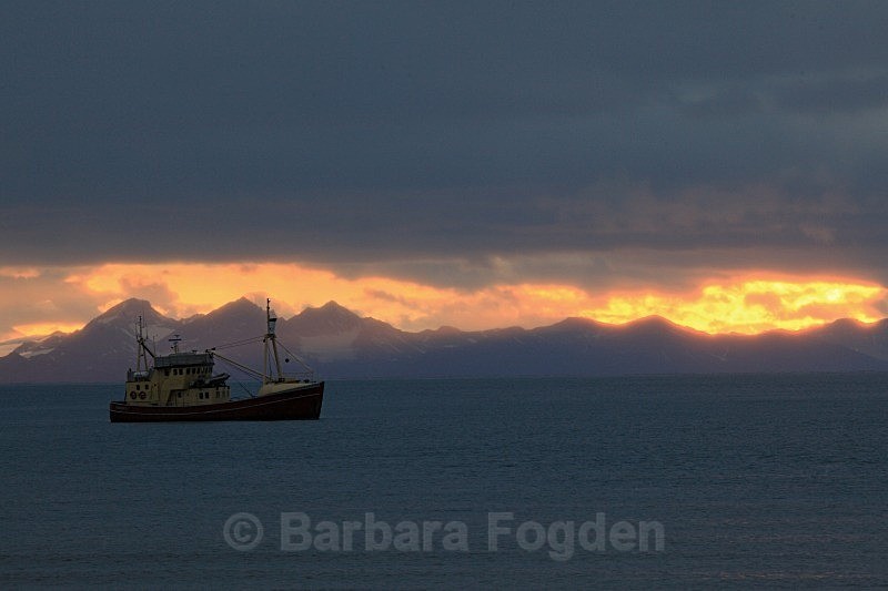 Isbjørn II 4726 - Colours of Svalbard