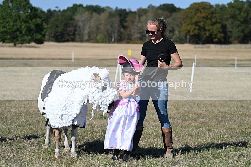 WJ7_2849 - Class 45 Fancy Dress (My Fav)