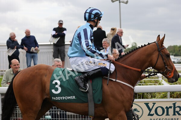 yr13052022r4-36 - Race 4 3.35pm The Paddy Power Yorkshire Cup (British Champions Series Race)