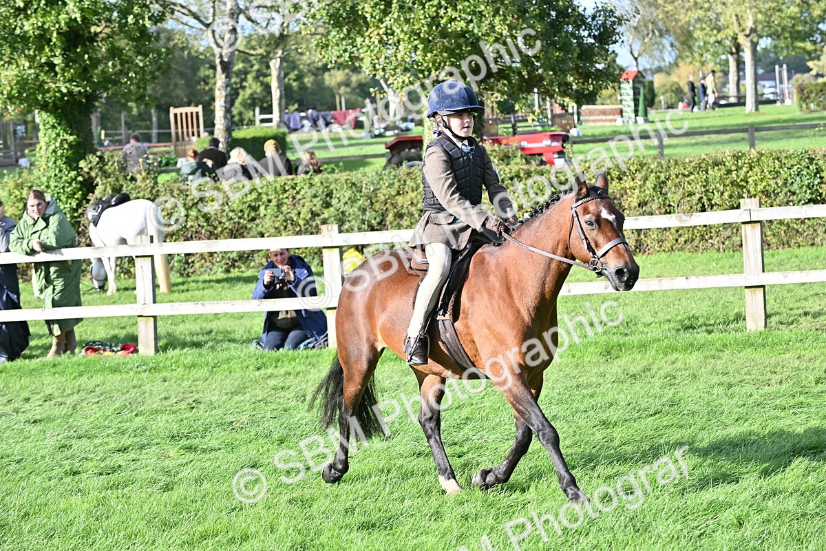 SBM_51266 - S22 - First Ridden show and show Hunter Pony