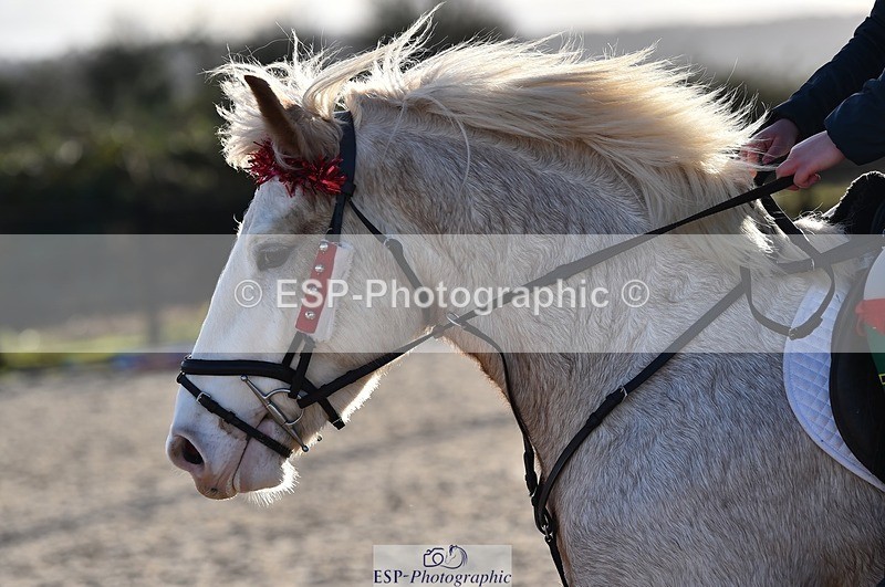 231210-124326-00573 - Cls 4 60cm