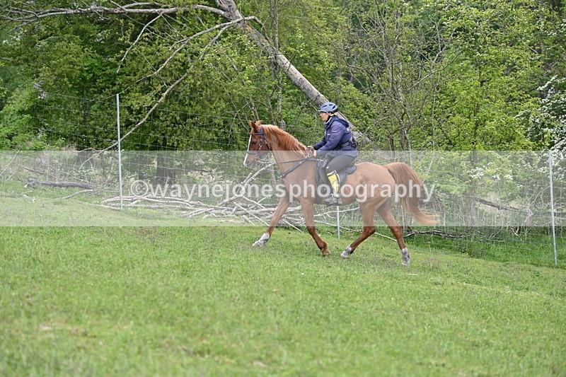 WJ6_3255 - A camera