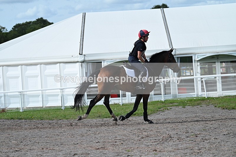 WJ7_2391 - Time 13:55 to 14:05