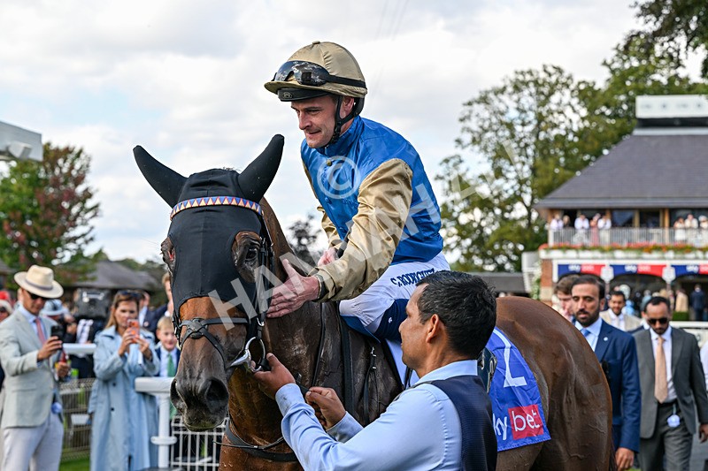 220826-Race 1-Archivist-9358 - Race 1 13.50pm Sky Bet Strensall Stakes