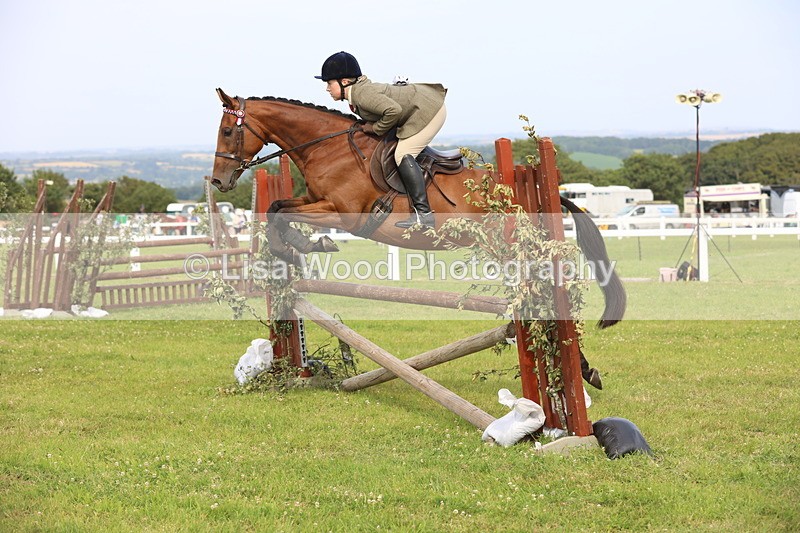 JPP_4201 - Class 25: Working Show Horse