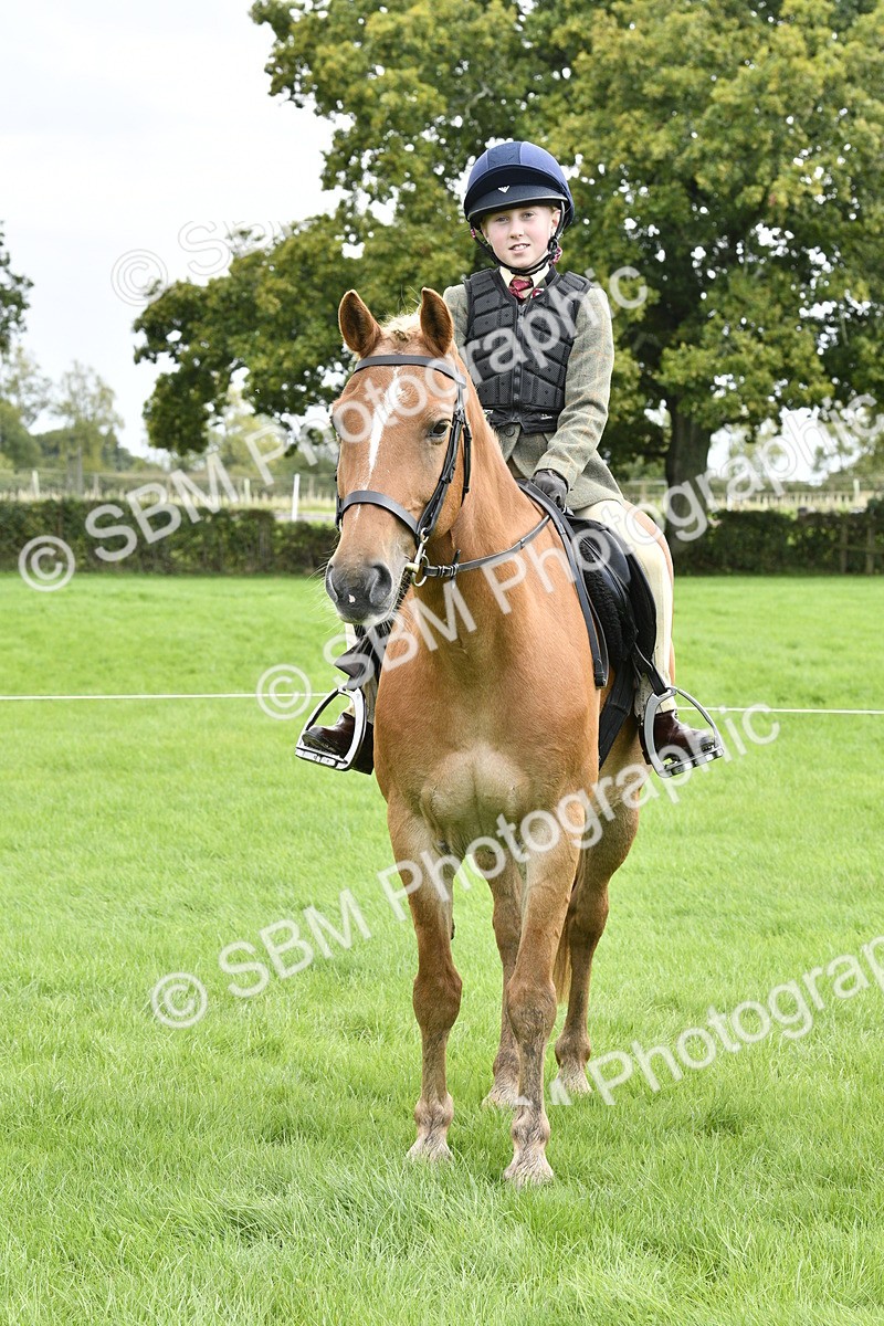 SBM_41622 - S32 - Mountain & Moorland Working Hunter Pony