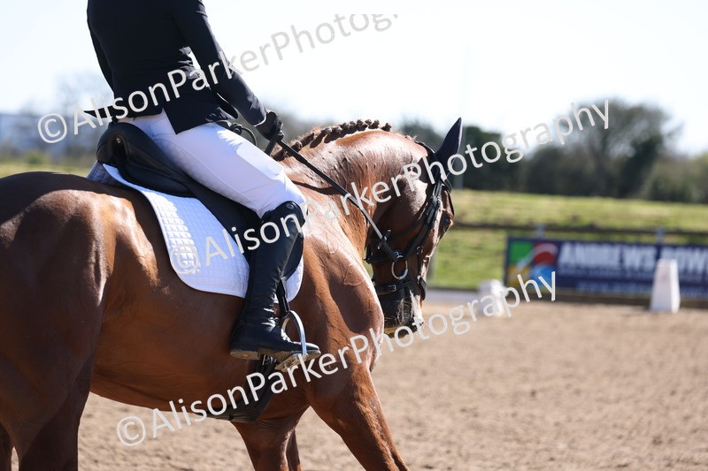 20260318-0537 - Class 5 - Novice 2