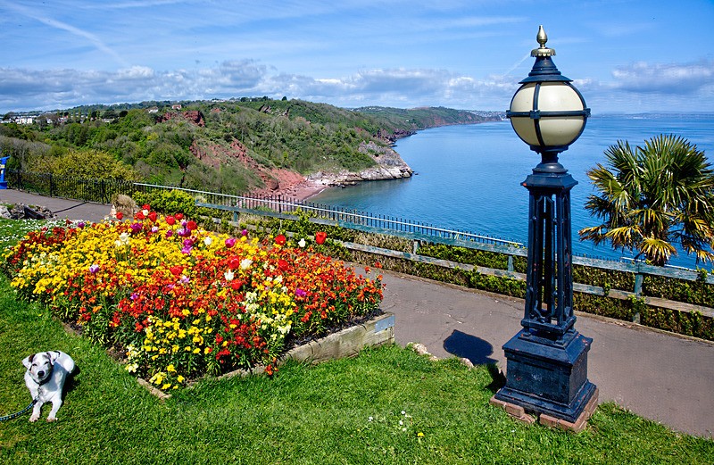  - Torquay See separate galleries for Cockington, Meadfoot and Anstey's Cove
