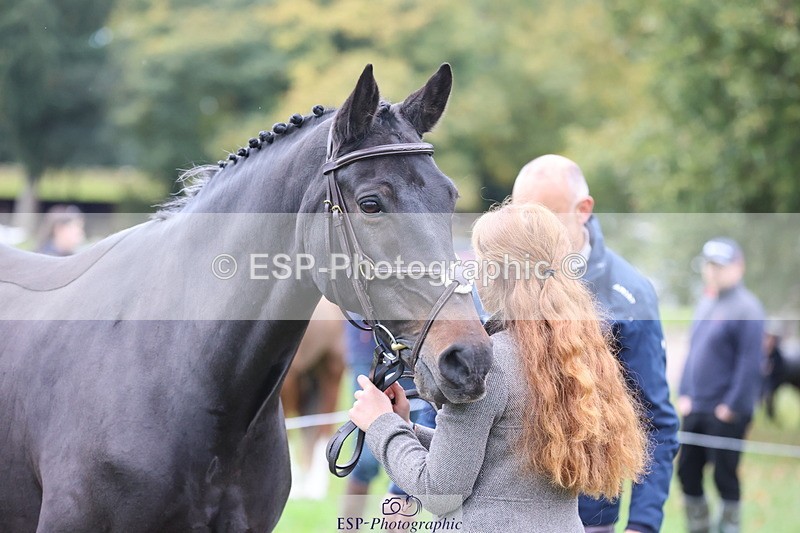 251026A-113049-25487 - F-469-Gabriella.Lucas