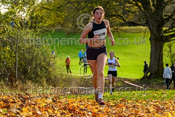 NatRel25-913846 - Young Female Set Two