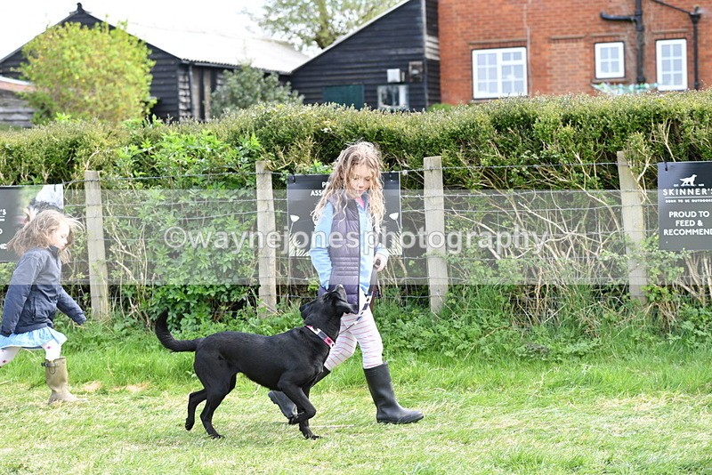 WJ5_0789 - Best in Show Championship