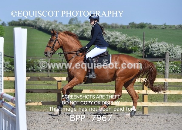 BPP_7967 - CLASS 2 Club/ Unaffiliated 80cms Open