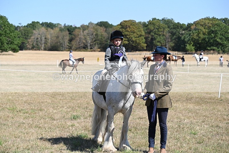 WJ6_8188 - Class 36 Lead Rein