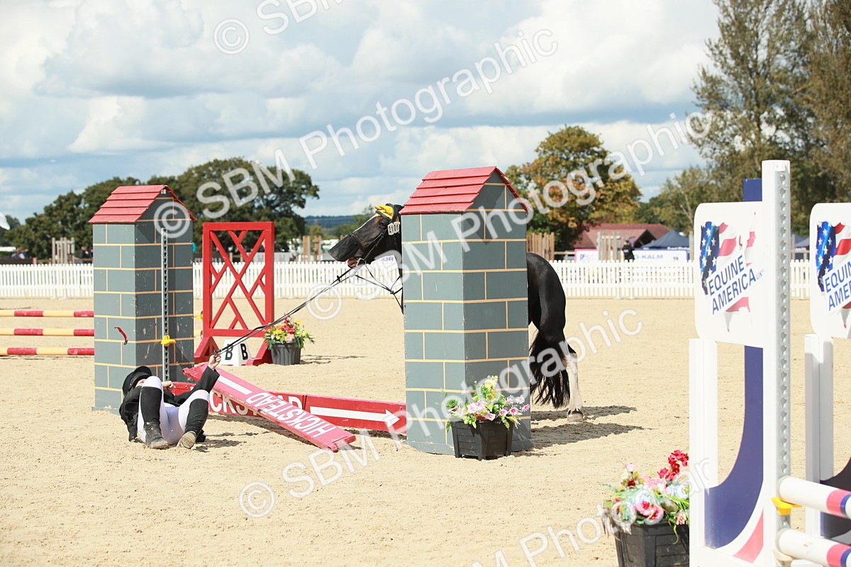 SBM_06231 - J29 Senior 65cm Championship