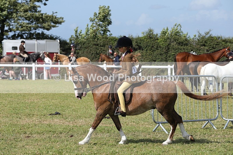 1X9A5781 - Class 40: NPS Welsh A & B