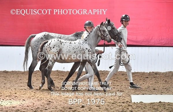 BPP_1976 - AFTERNOON 12.30 - 3.30PM