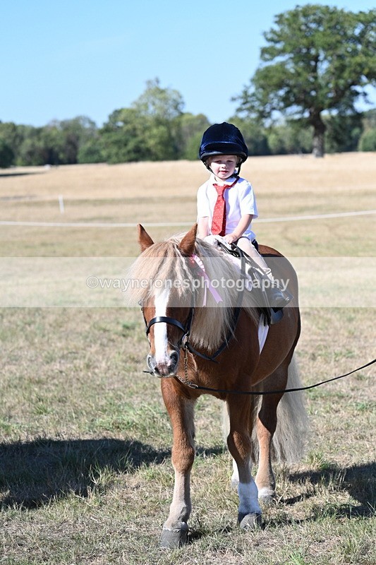 WJ7_2160 - Class 44 Child's Best Friend