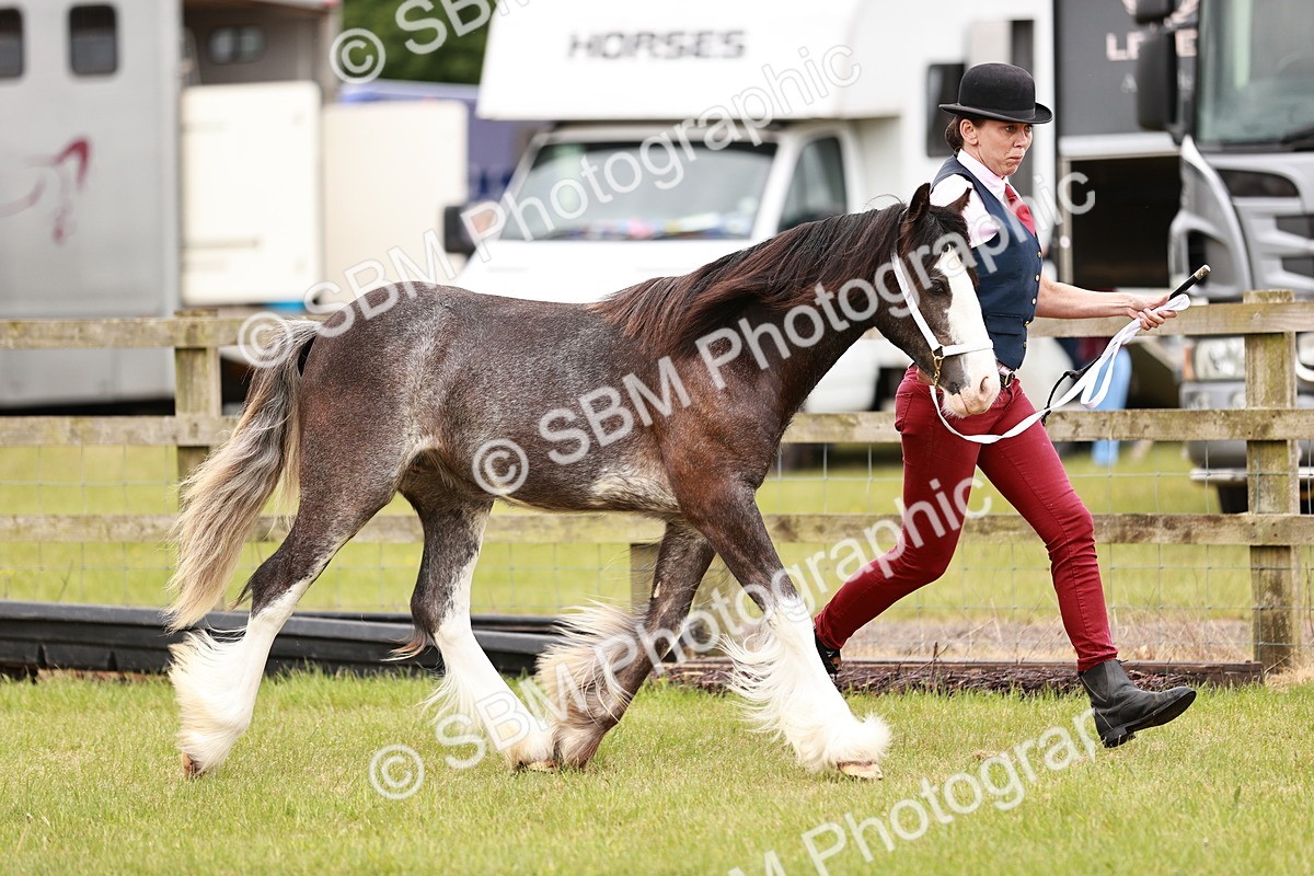 SBM_04551 - Class 5-8 - BSPA In hand