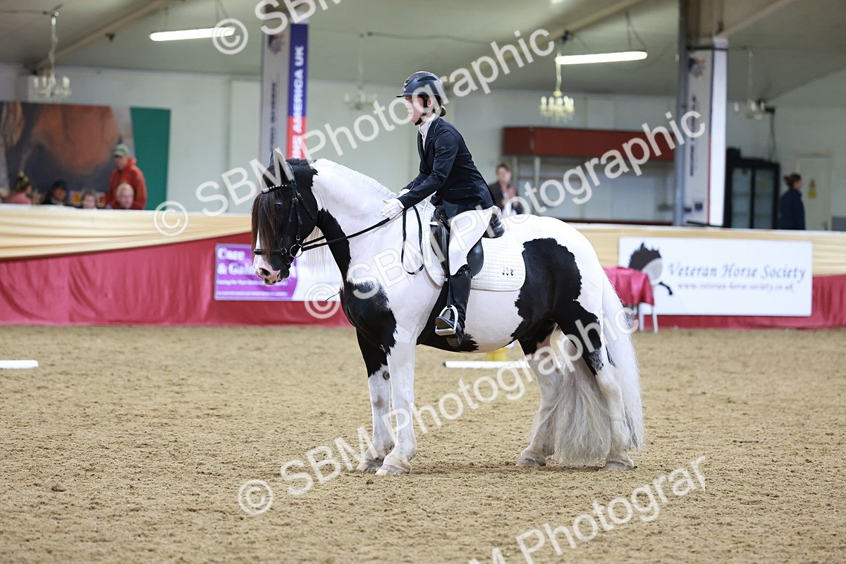 SBM_09971 - Class 61 - Dressage to Music