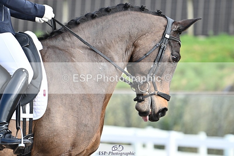 240218A-125255-07458 - 164-Anna.Johannson-Kapellmeister