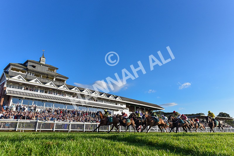 160824-Race 5-Ready Freddie Go-3736 - Race 5