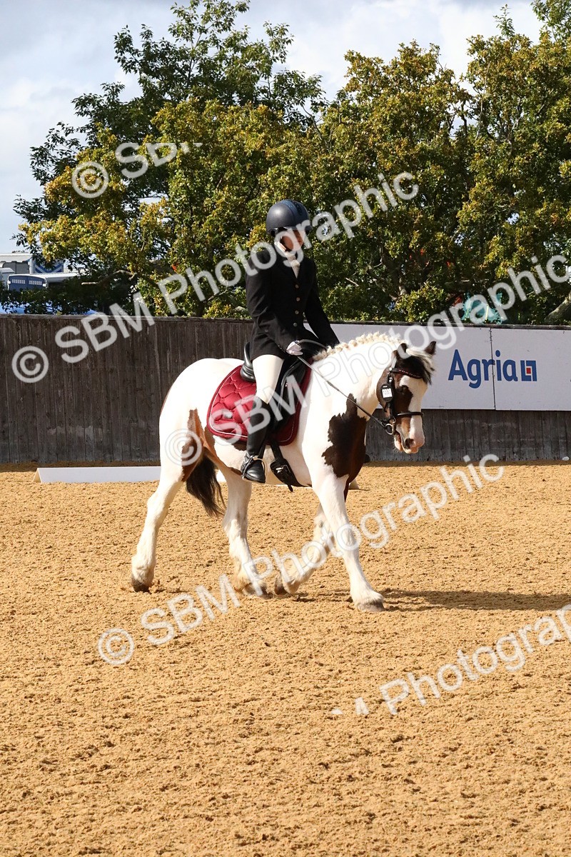 SBM_24473 - D5 - Small Tour Championshop Intro 2