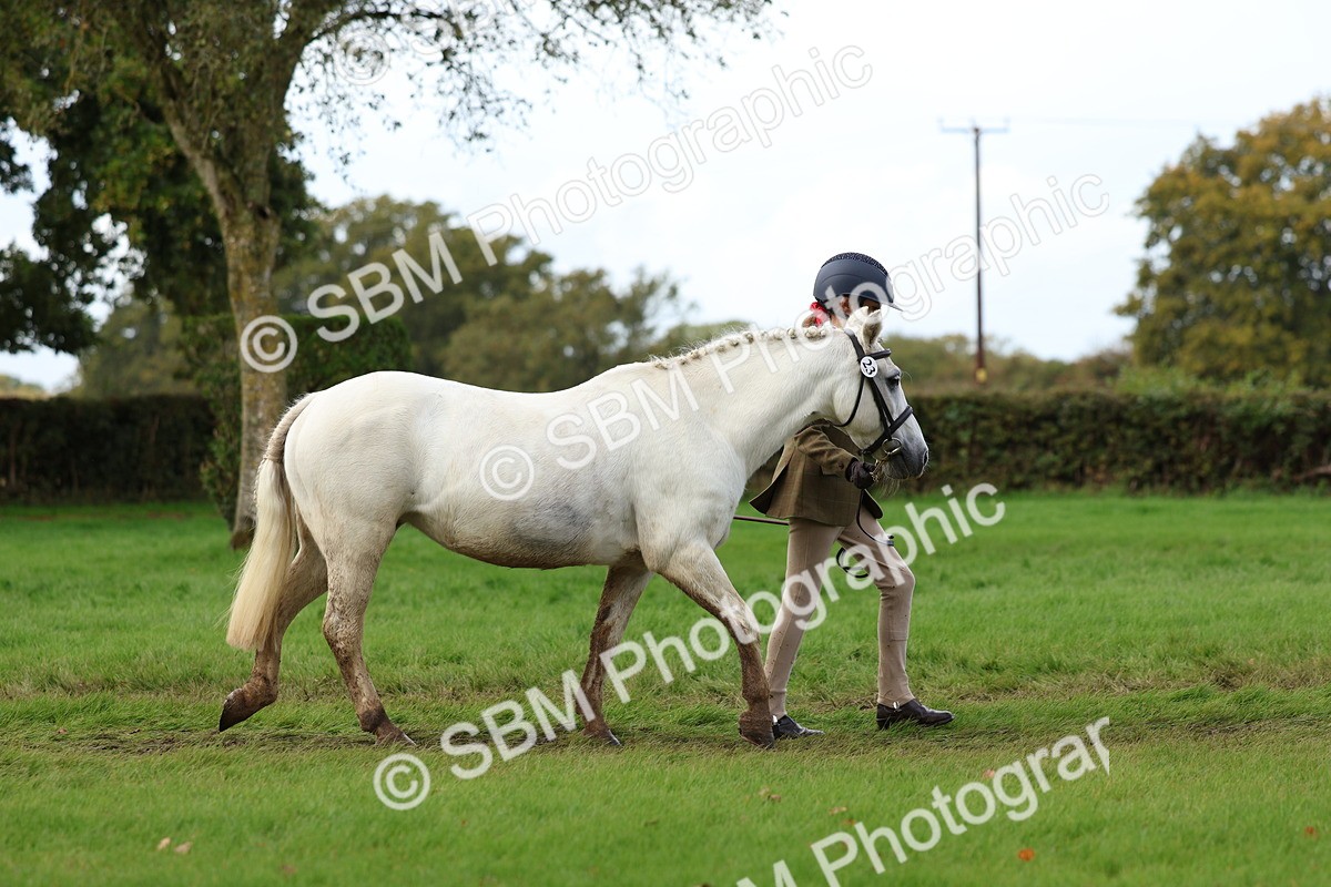 SBM_40704 - S25 -  Veteran In Hand