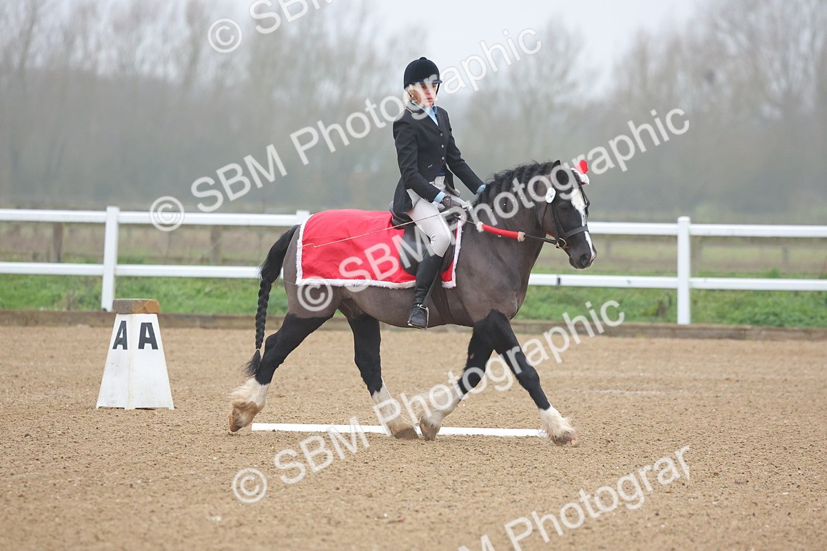 SBM_000176 - Class 2 - Intro 2