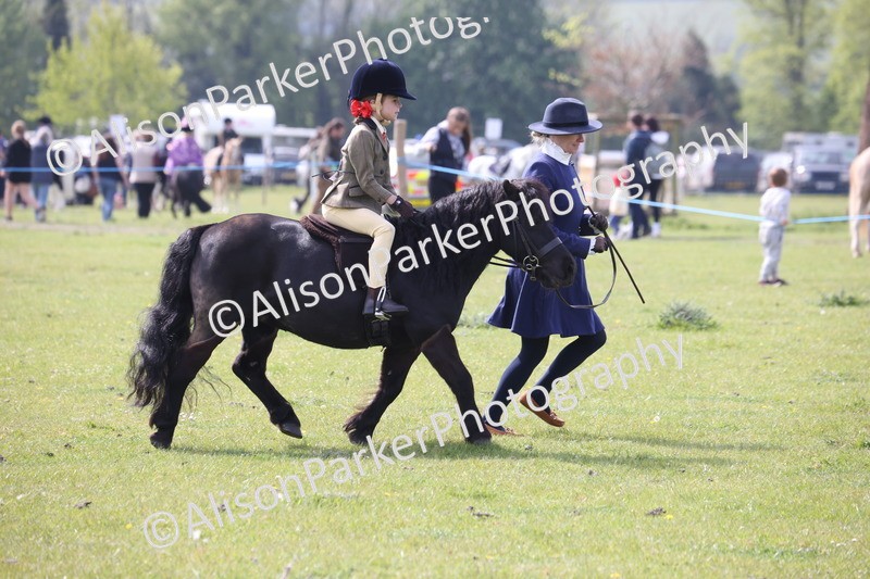 20260426-2572 - Class 31 - Leading Rein