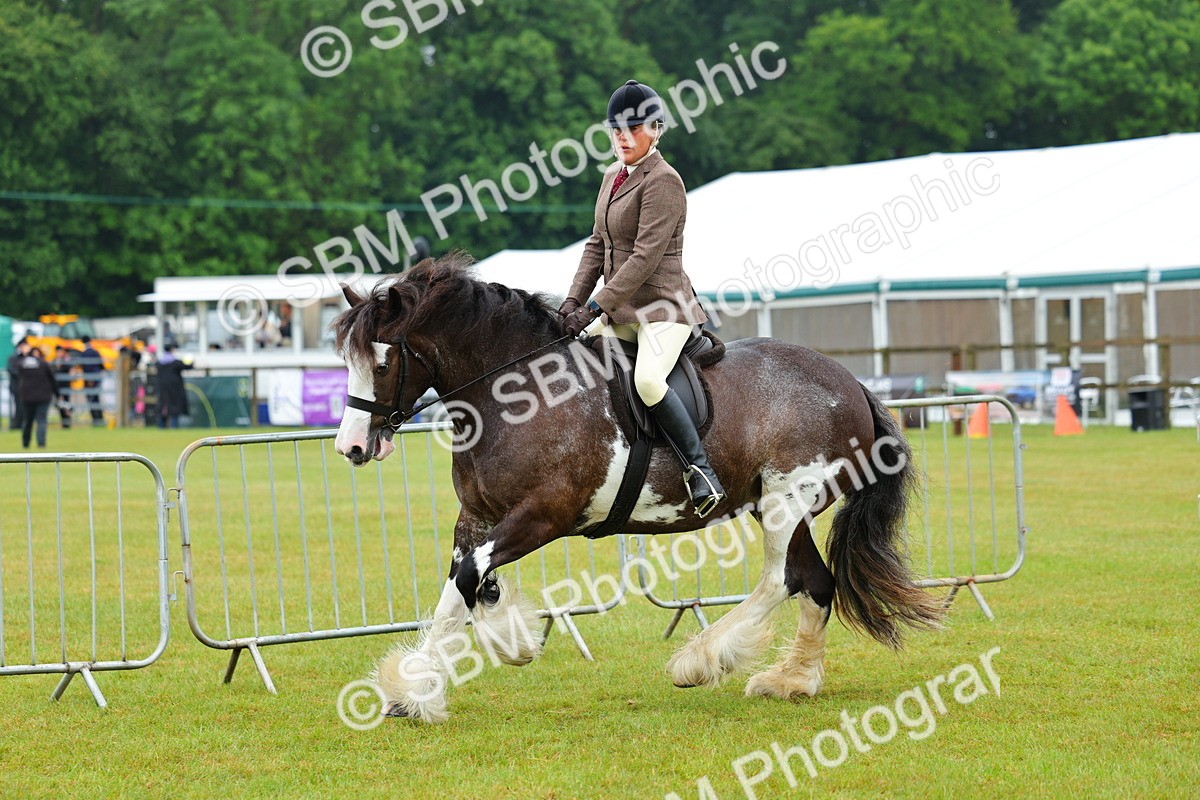 SBM_00956 - Class 1-4 - BSPA Ridden