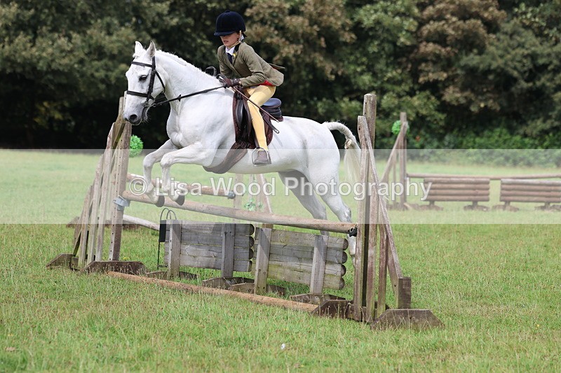 3E7A5800 - Class 26 and 27: 70cm Working Hunter