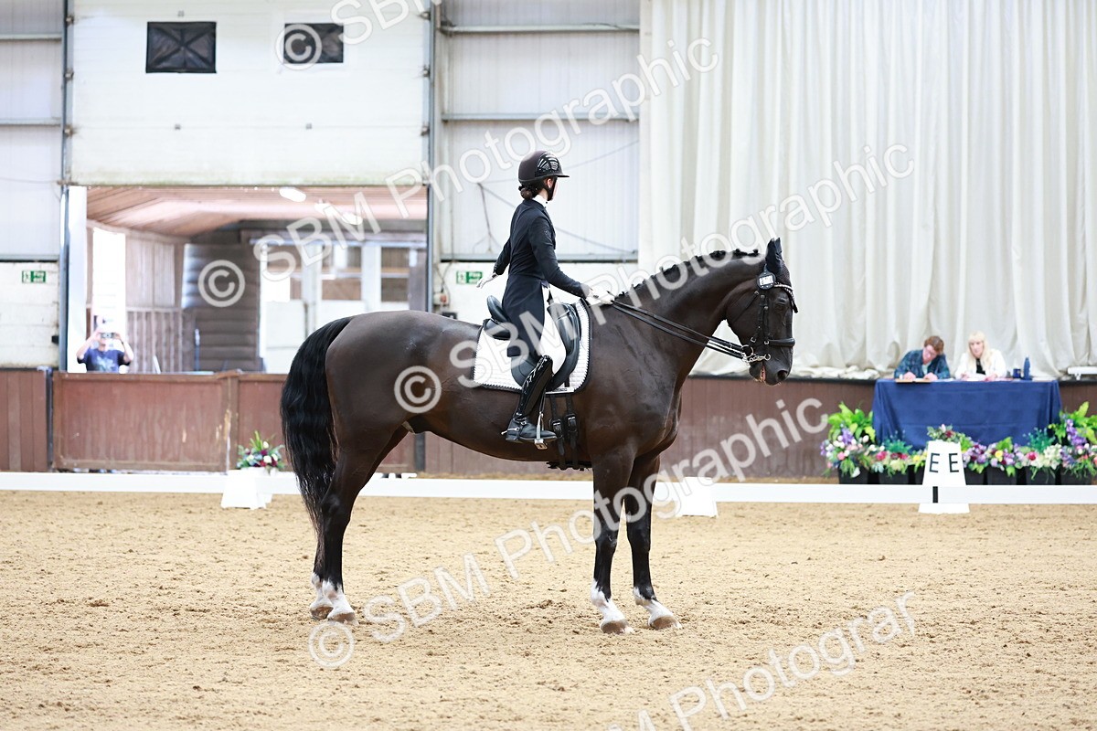 SBM_018159 - Class 15 - FEI Junior