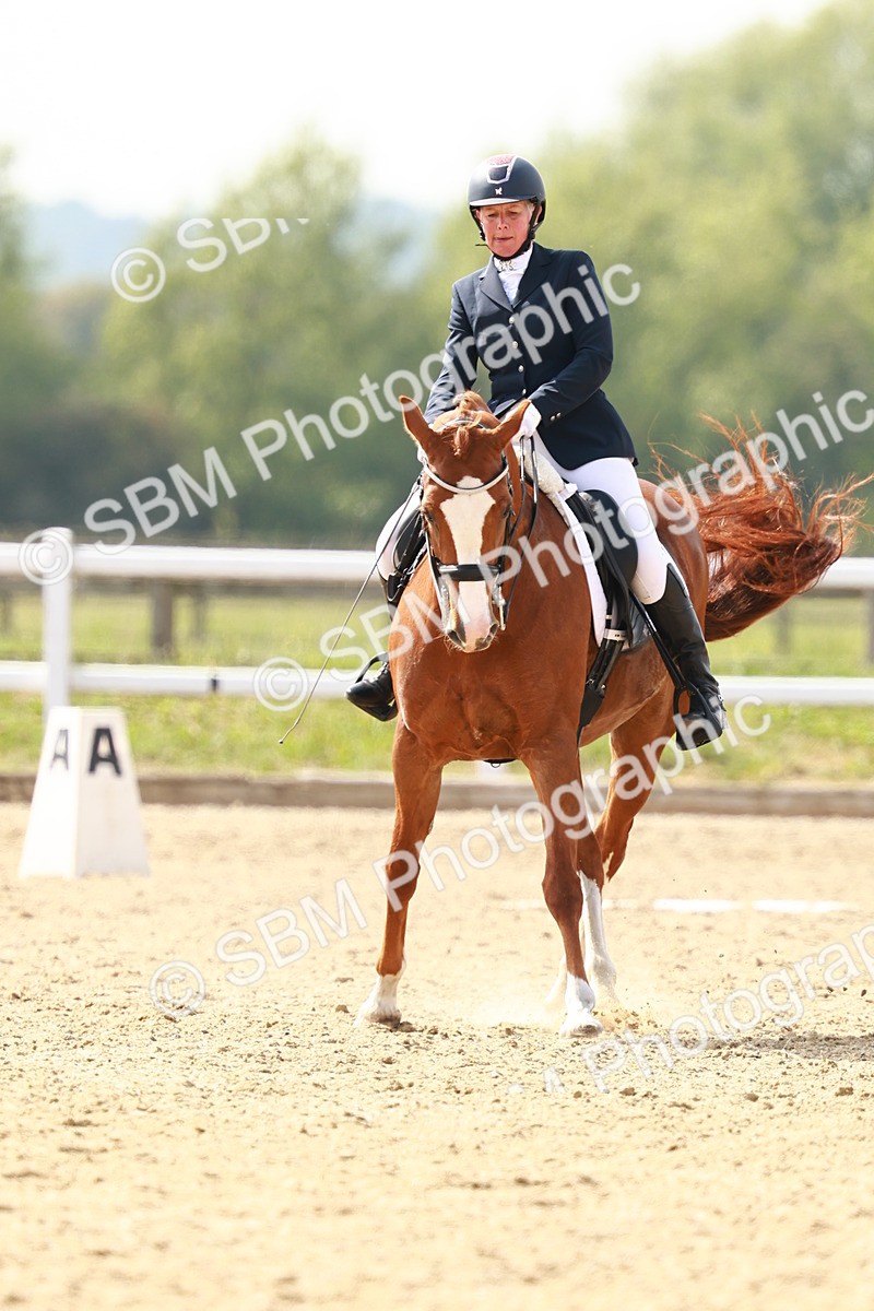 SBM_003040 - Class 13 - Medium 5