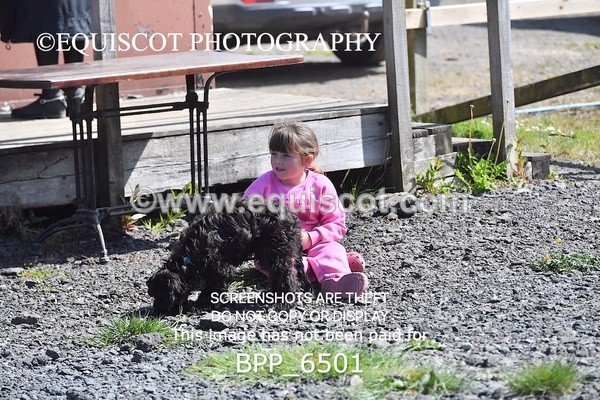 BPP_6501 - CLASS 34 MON Scottish Spring Final 95cm