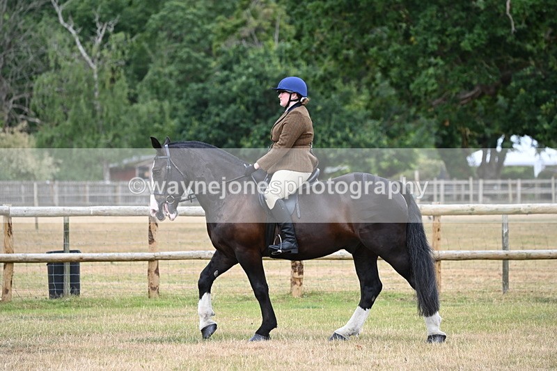 WJ6_3781 - Class 9 Tack & Turnout