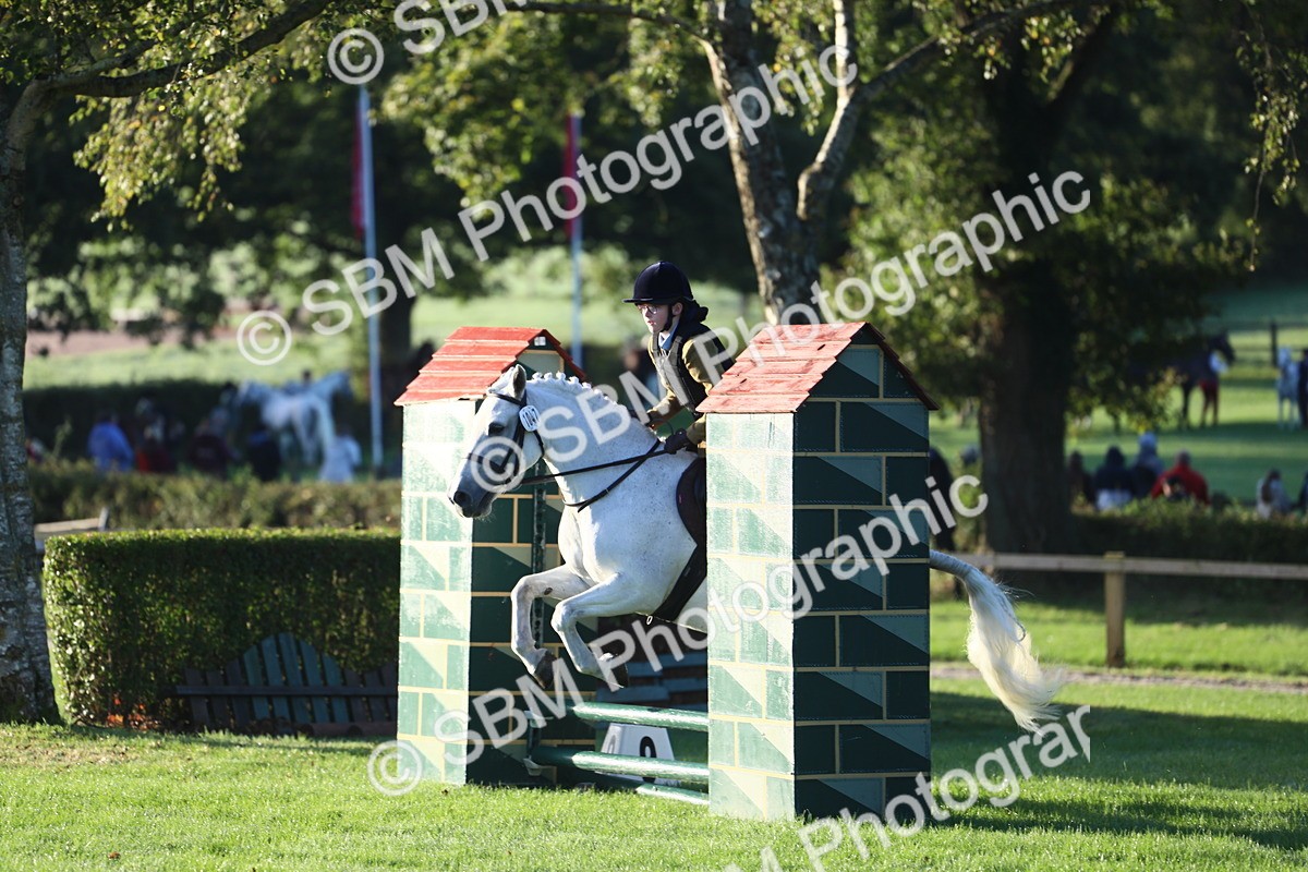 SBM_37132 - S29 - Novice & Newcomers Working Hunter Pony