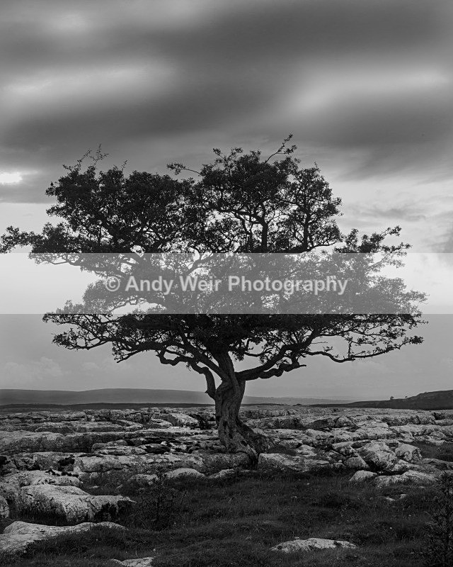 20120630-_MG_9130-1241-1242 - England